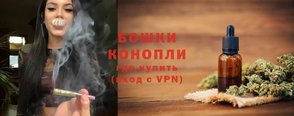 прущие грибы Белоозёрский